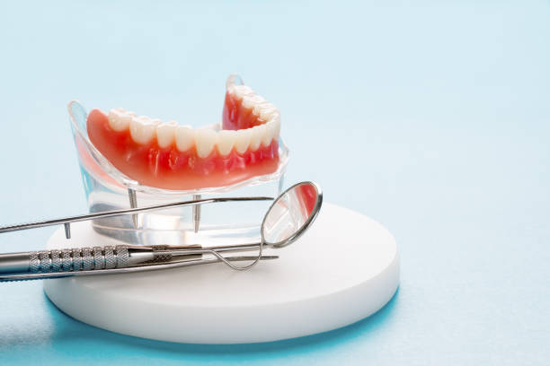 Best Preventive Dentistry  in Halfway, MD